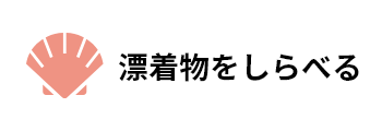漂着物を調べる