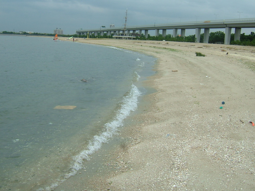 20091003西側から東方向