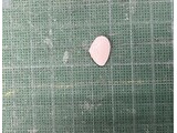 ヒメシラトリ